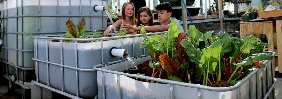 Kids gardening