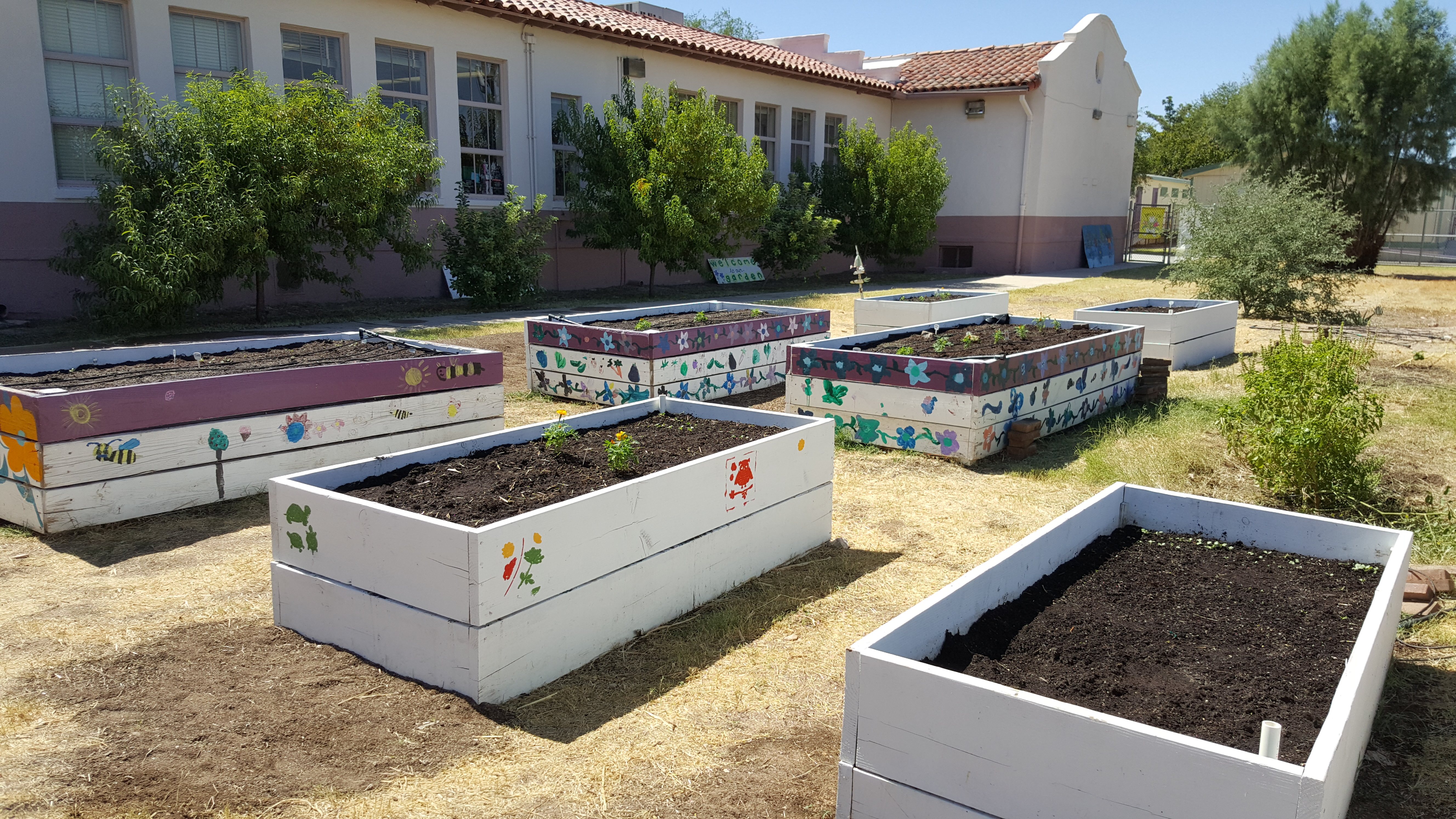 Multiple elevated squares of garden painted by children